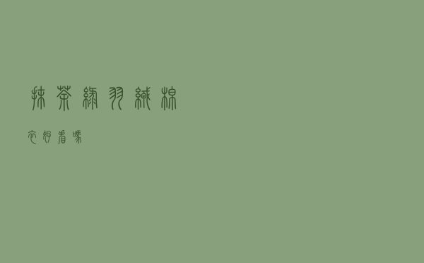 抹茶绿羽绒棉衣好看吗