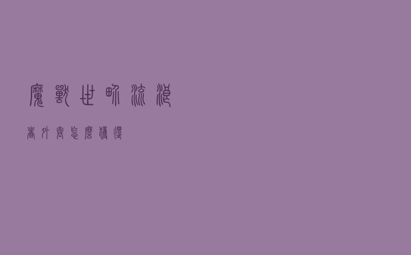 魔兽世界流浪者外套怎么获得