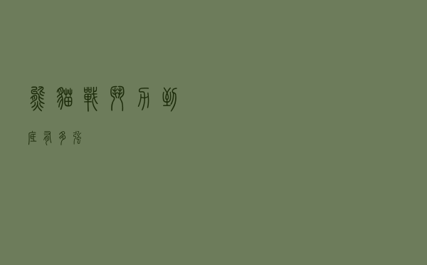 熊猫战斗力到底有多强 熊猫战斗力到底有多强