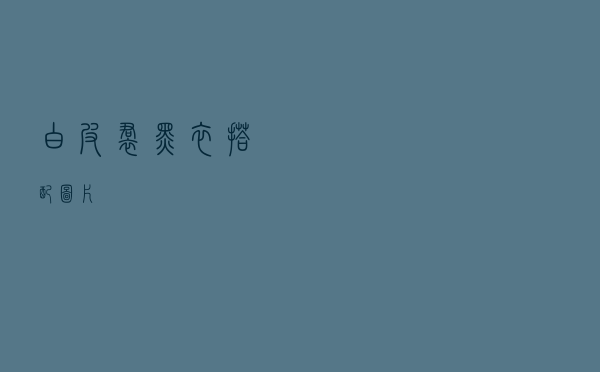 白皮裙黑衣搭配图片