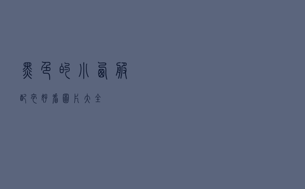 黑色的小西服配衣好看图片大全