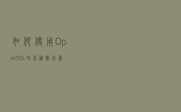 如何使用 OpenSSL：哈希值、数字签名
