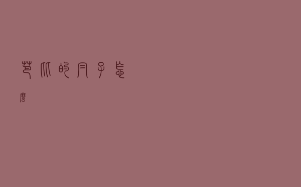 芭比的帽子怎么