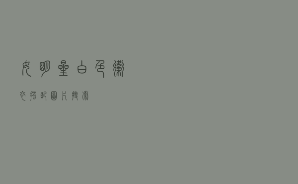 女明星白色卫衣搭配图片搜索