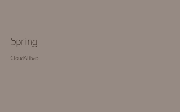 Spring Cloud Alibaba-全局配置自定义和支持的配置项