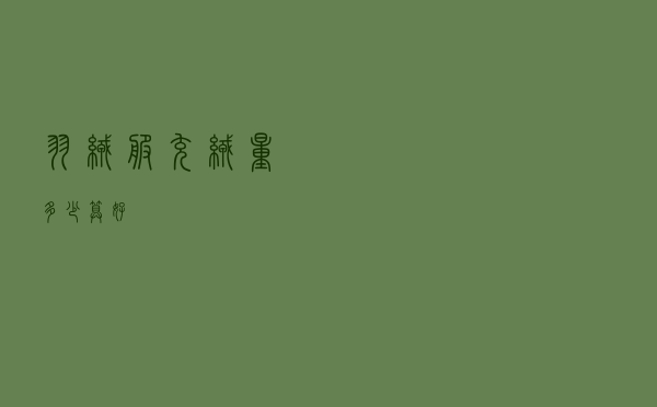 羽绒服充绒量多少算好