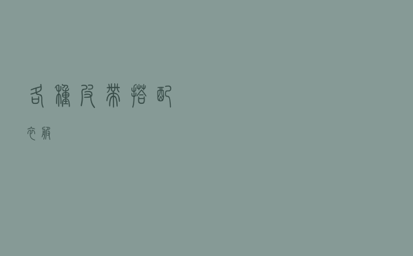 各种皮带搭配衣服