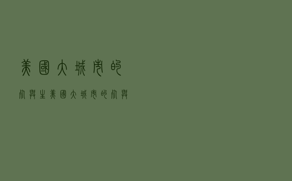 美国大城市的死与生（美国大城市的死与生ppt）