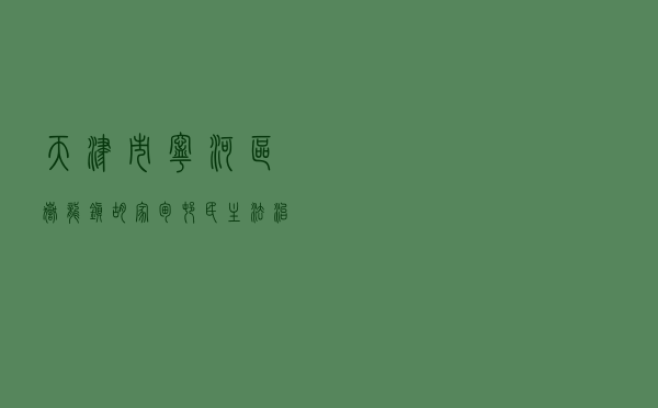天津市宁河区岳龙镇胡家甸村民主法治村创建经验