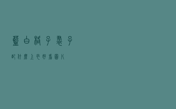 蓝白格子裙子配什么上衣好看图片