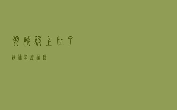 羽绒服上粘了油漆怎么清洗