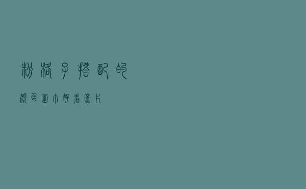 粉格子搭配的颜色围巾好看图片