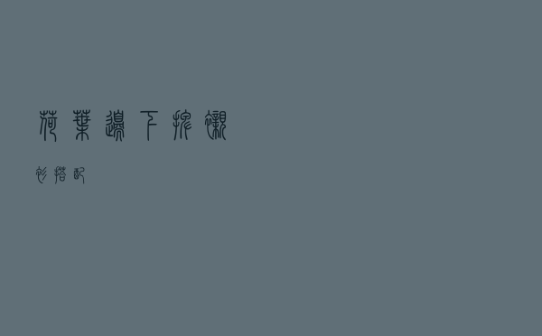 荷叶边下摆衬衫搭配