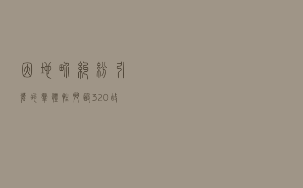因地界纠纷引发的群体性斗殴“3·20”故意伤害致人死亡案以案释法