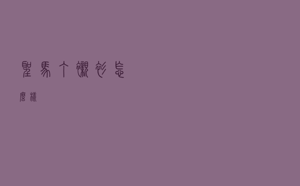 圣马丁衬衫怎么样