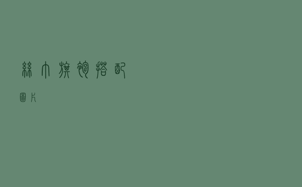 丝巾旗袍搭配图片