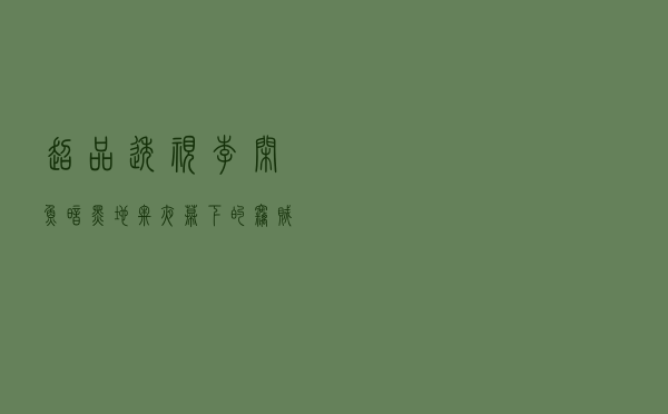 超品透视 李闲鱼（暗黑地牢夜幕下的窃贼）
