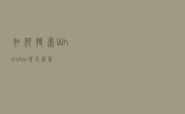 如何搜索 WhatsApp 聊天消息