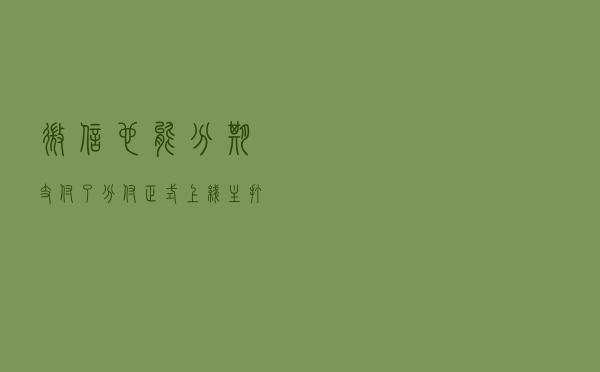 微信也能分期支付了：“分付”正式上线， 主打按天计息、随借随还