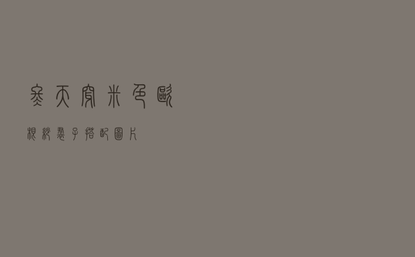 冬天穿米色欧根纱裙子搭配图片