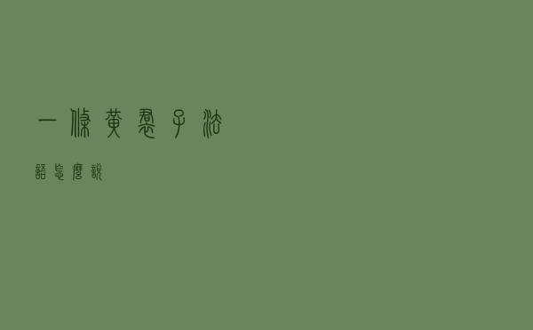 一条黄裙子法语怎么说