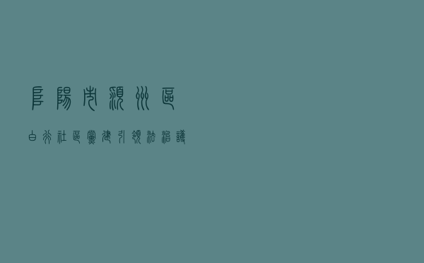 阜阳市颍州区白行社区党建引领法治护航助力乡村振兴发展