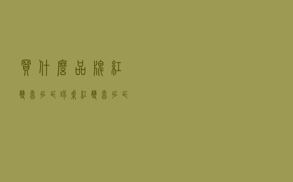 买什么品牌红双喜乒乓球桌，红双喜乒乓球桌2828价格