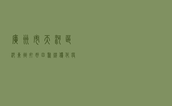 广州市天河区沙东街打好“四聚”牌，优化疫情下的法治化营商环境