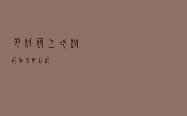 羽绒服上的润滑油怎么清洗