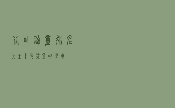 网站流量排名（大王卡免流量的应用）