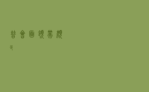 普会面领带颜色