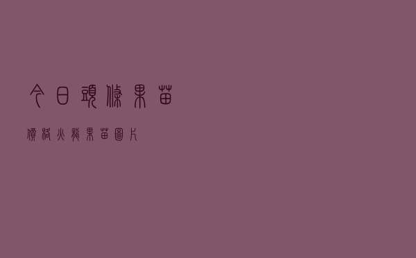 今日头条果苗价格，火龙果苗图片