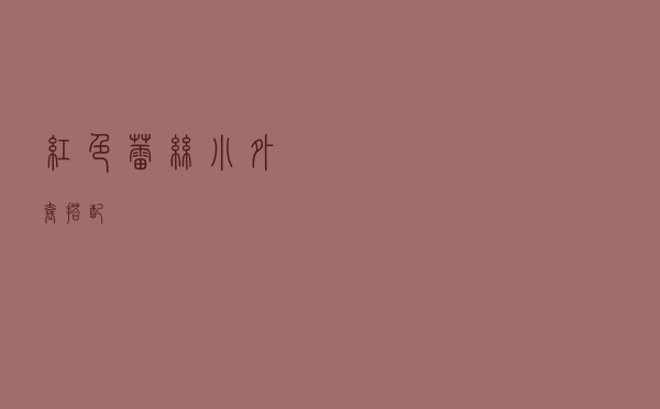 红色蕾丝小外套搭配