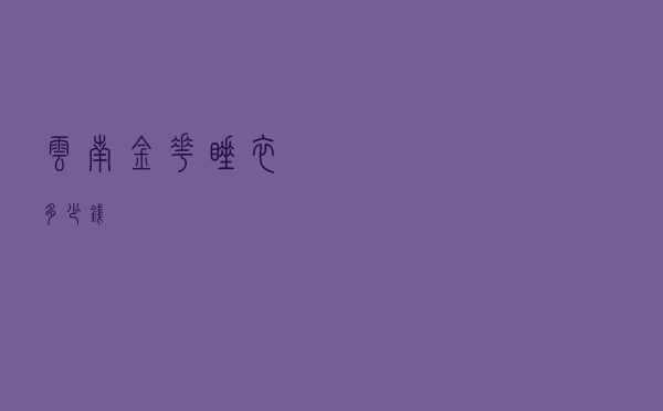 云南金花睡衣多少钱