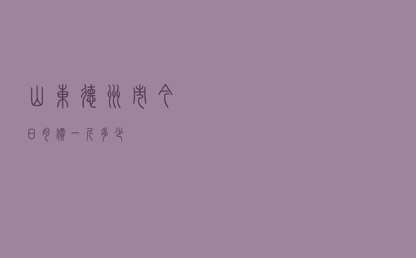 山东德州市今日肉价一斤多少