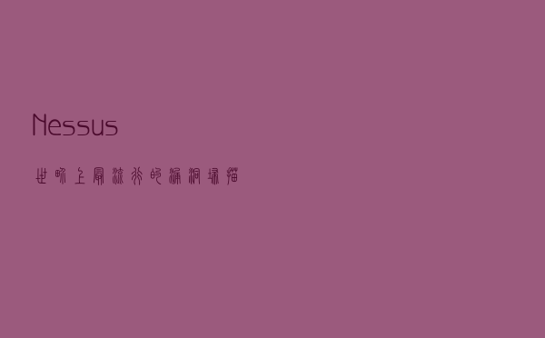 「Nessus」世界上最流行的漏洞扫描程序-简单安装体验