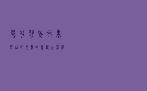 带娃野餐哪里好 这些免费的“宝藏公园”别错过