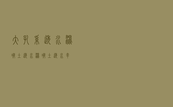 大孔系透水混凝土（透水混凝土透水率）