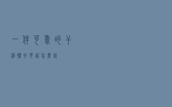 一件可爱的干净衬衫英语怎么说