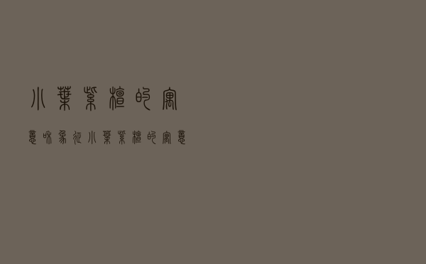 小叶紫檀的寓意和象征 - 小叶紫檀的寓意与功效
