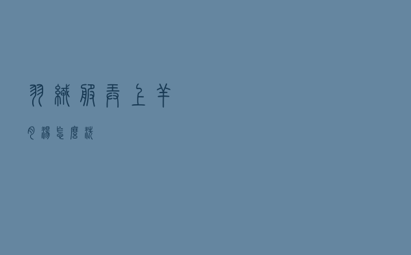 羽绒服弄上羊肉汤怎么洗
