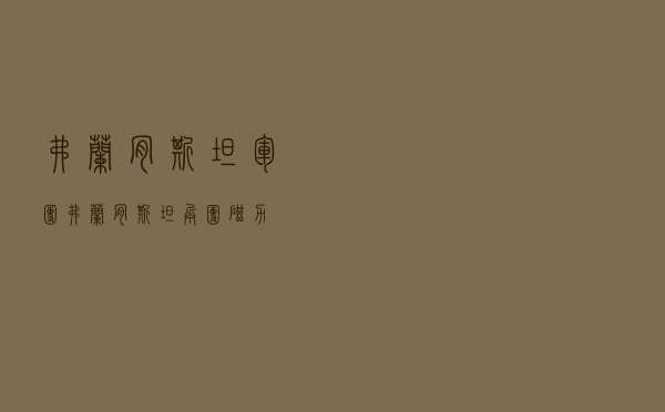 弗兰肯斯坦军团「弗兰肯斯坦兵团磁力」 弗兰肯斯坦军团「弗兰肯斯坦兵团磁力」