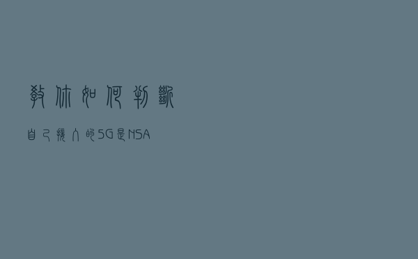 教你如何判断自己接入的5G是NSA还是SA