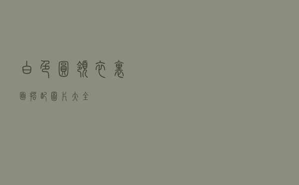 白色圆领衣里面搭配图片大全