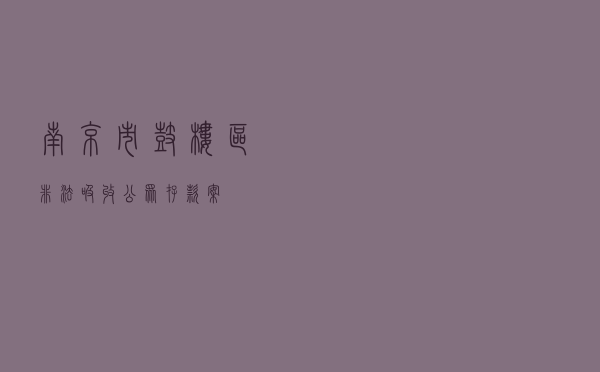 南京市鼓楼区非法吸收公众存款案