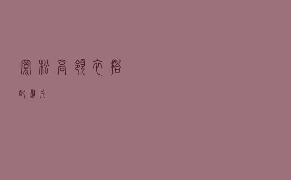 宽松高领衣搭配图片