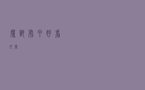 魔兽布甲好看外套
