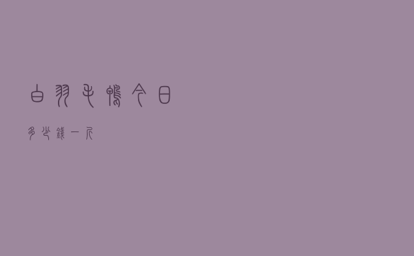 白羽毛鸭今日多少钱一斤