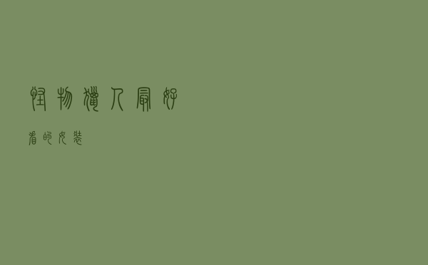 怪物猎人最好看的女装