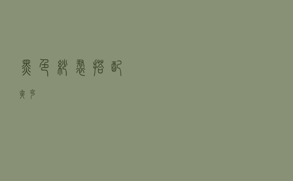 黑色纱裙搭配夹克